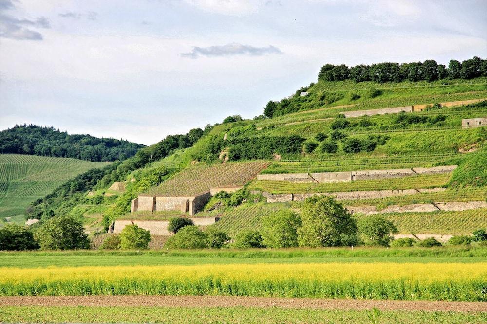 Hotel Winzerstube Ihringen Kültér fotó