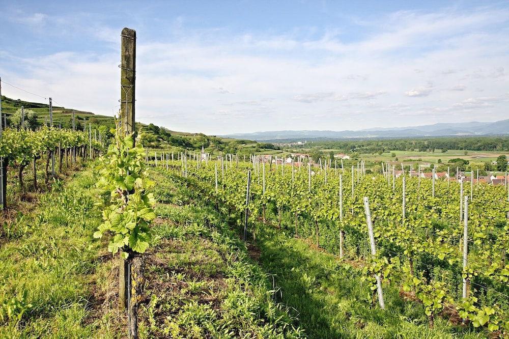 Hotel Winzerstube Ihringen Kültér fotó