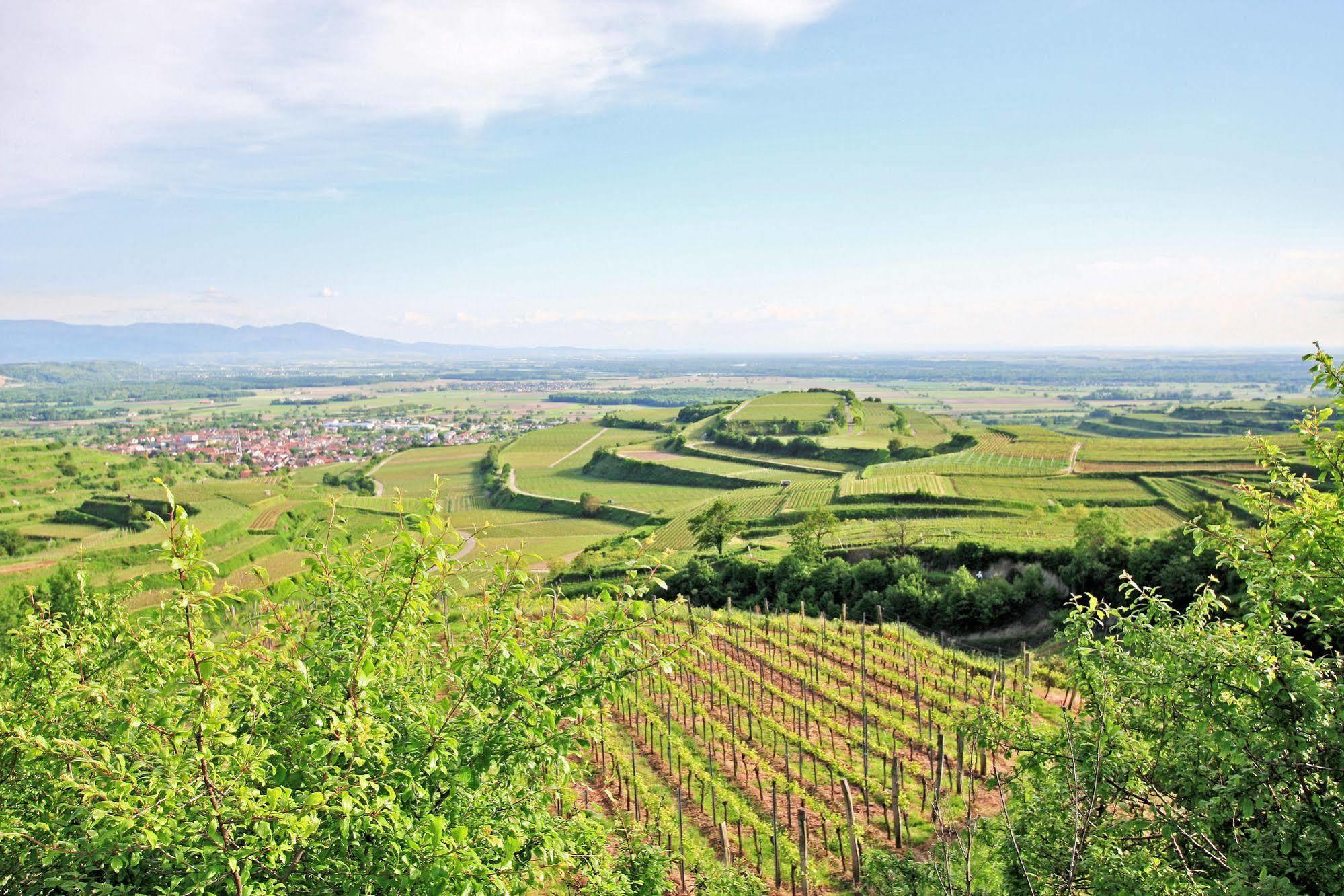 Hotel Winzerstube Ihringen Kültér fotó